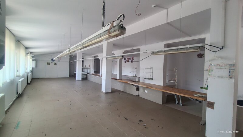 Roman, judetul Neamt